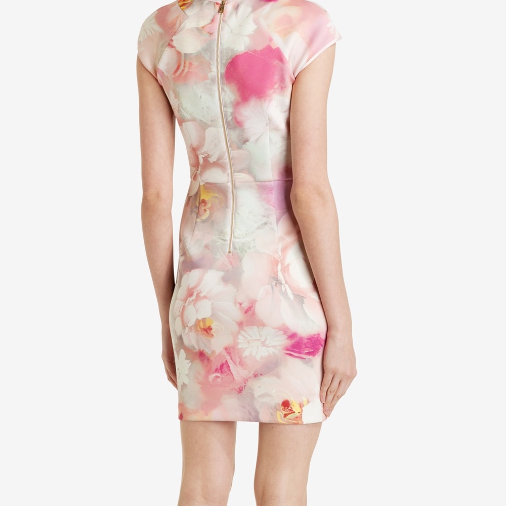 Ted Baker Rose Dress - Picture 2 of 4